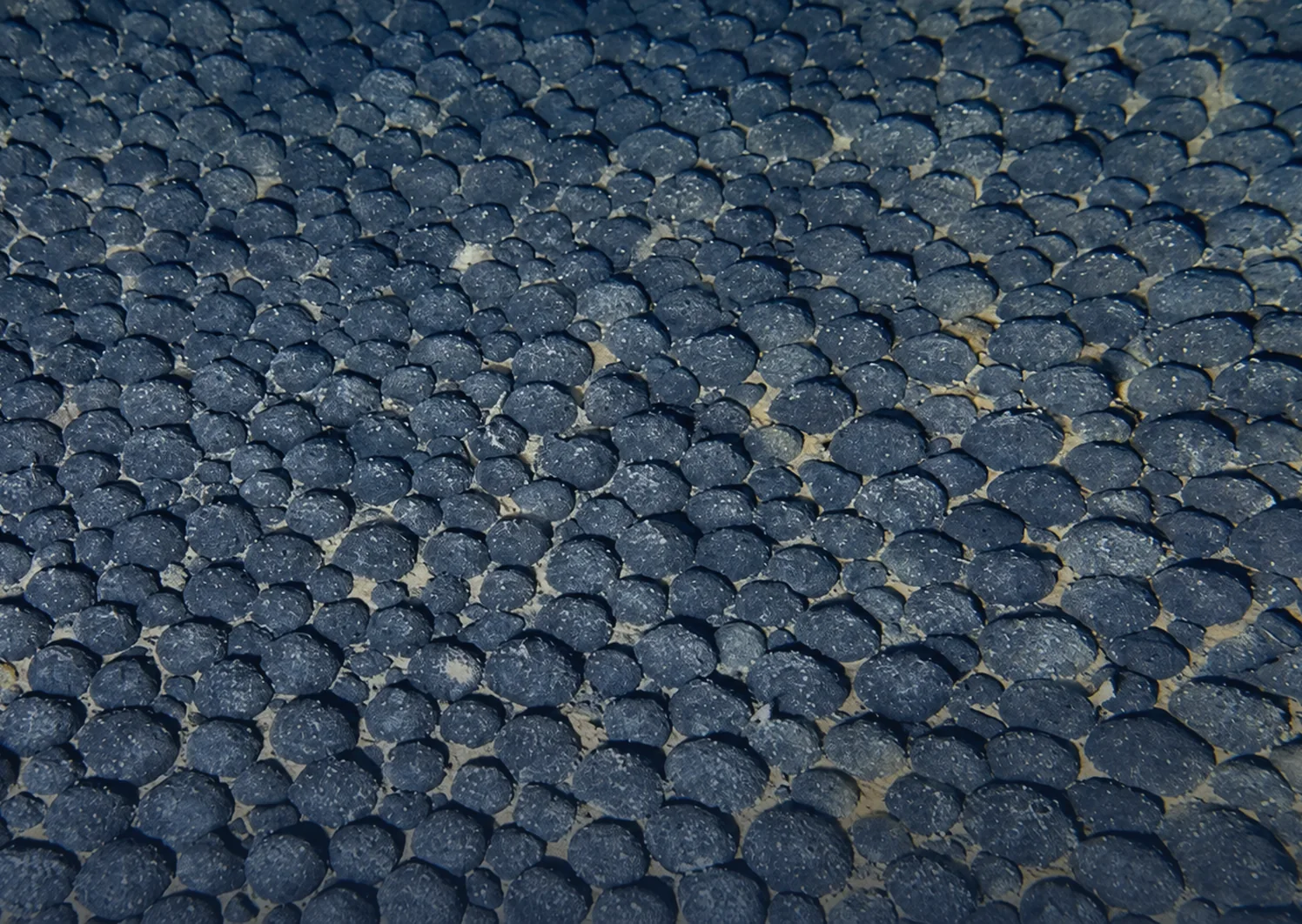 Polymetallic nodules resting on the deep-ocean floor