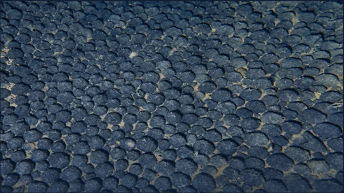 Close-up of polymetallic nodules
